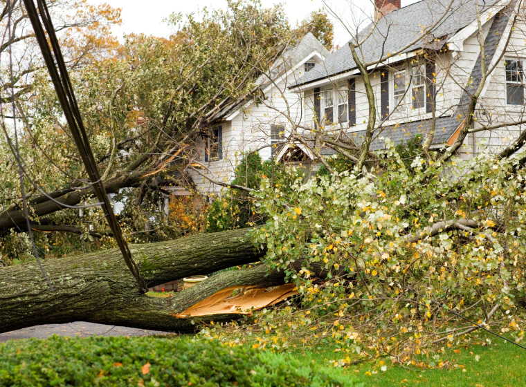 emergency-cleanup